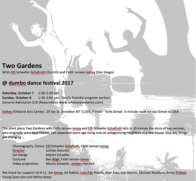 Flyer dumbo 2017
